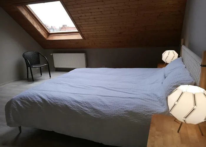 Belarte Framing Shop, Spacious Apartment With Garage In The Heart Of Ieper